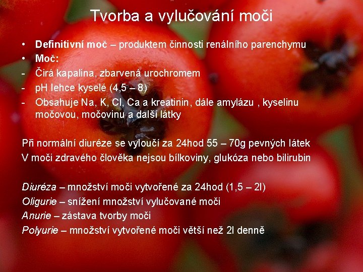 Tvorba a vylučování moči • • - Definitivní moč – produktem činnosti renálního parenchymu