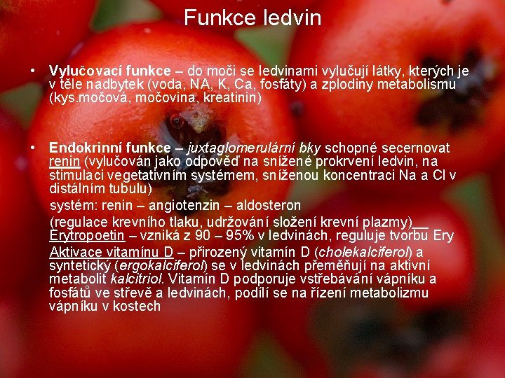 Funkce ledvin • Vylučovací funkce – do moči se ledvinami vylučují látky, kterých je