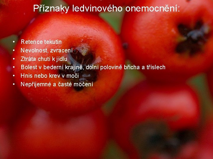 Příznaky ledvinového onemocnění: • • • Retence tekutin Nevolnost, zvracení Ztráta chuti k jídlu