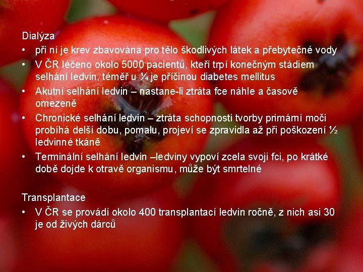 Dialýza • při ní je krev zbavována pro tělo škodlivých látek a přebytečné vody