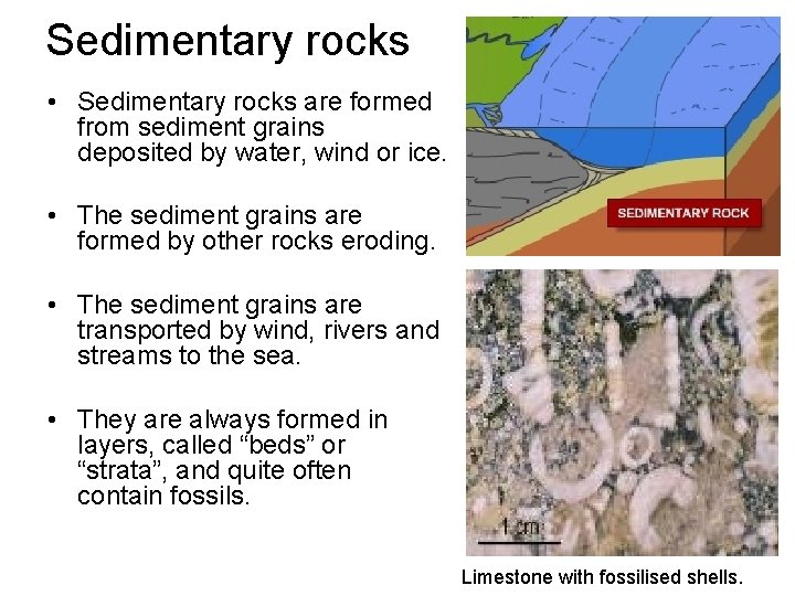 Sedimentary rocks • Sedimentary rocks are formed from sediment grains deposited by water, wind