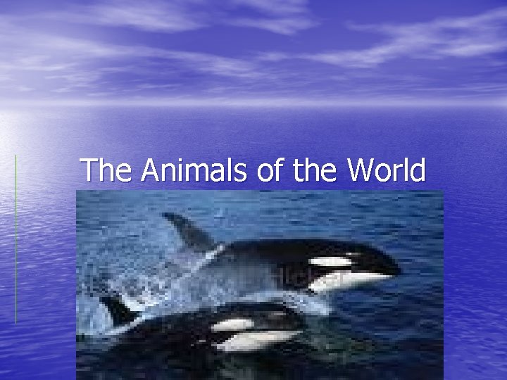 The Animals of the World 