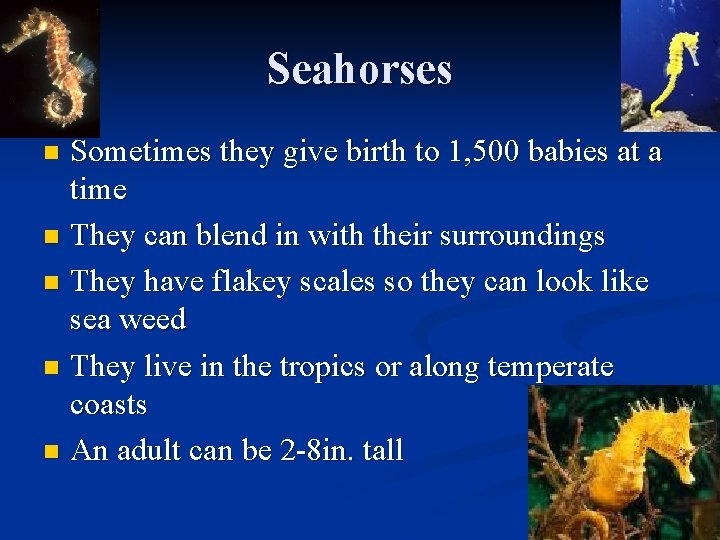 Seahorses Sometimes they give birth to 1, 500 babies at a time n They