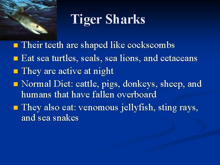 Tiger Sharks Their teeth are shaped like cockscombs n Eat sea turtles, seals, sea