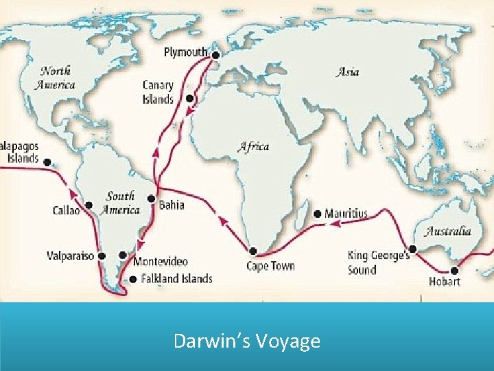 Darwin’s Voyage 