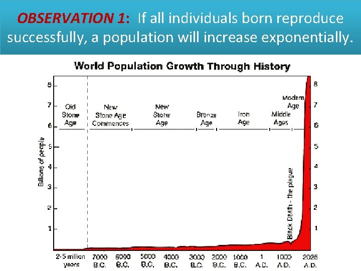 OBSERVATION 1: If all individuals born reproduce successfully, a population will increase exponentially. 