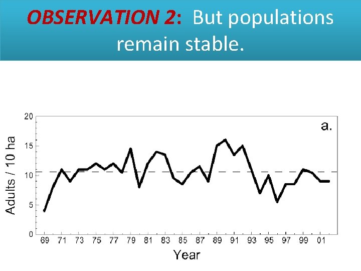 OBSERVATION 2: But populations remain stable. 