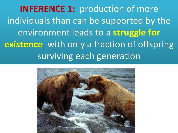 INFERENCE 1: production of more individuals than can be supported by the environment leads