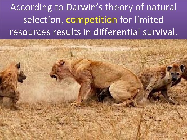 According to Darwin’s theory of natural selection, competition for limited resources results in differential