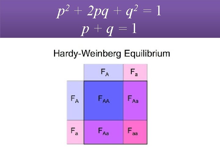 2 p 2 q + 2 pq + = 1 p+q=1 