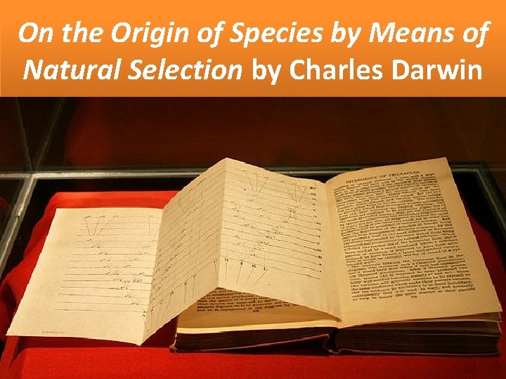 On the Origin of Species by Means of Natural Selection by Charles Darwin 