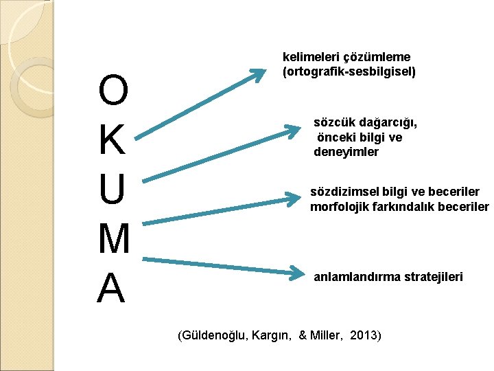 O K U M A kelimeleri çözümleme (ortografik-sesbilgisel) sözcük dağarcığı, önceki bilgi ve deneyimler