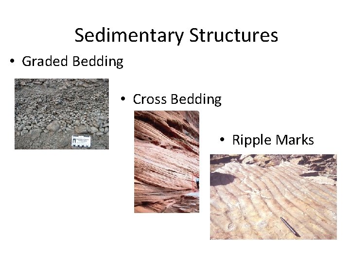 Sedimentary Structures • Graded Bedding • Cross Bedding • Ripple Marks 