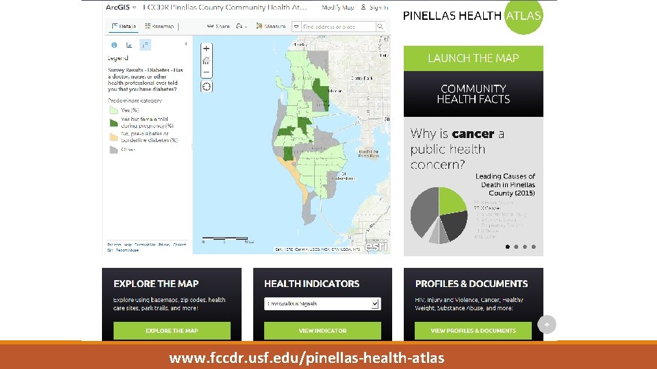 www. fccdr. usf. edu/pinellas-health-atlas www. fccdr. usf. edu/pinellas-health-atlas