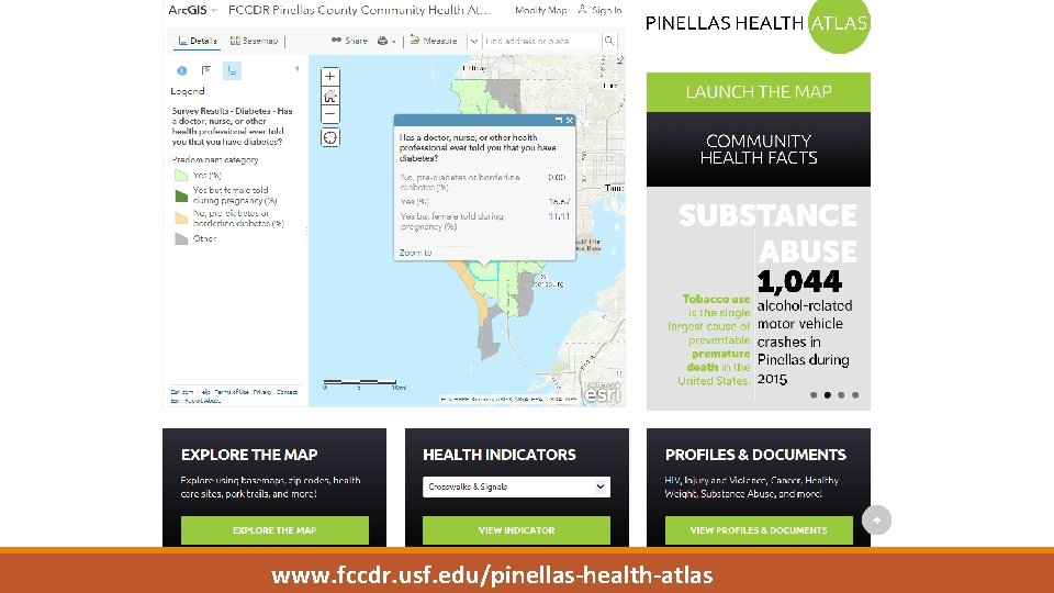 www. fccdr. usf. edu/pinellas-health-atlas www. fccdr. usf. edu/pinellas-health-atlas
