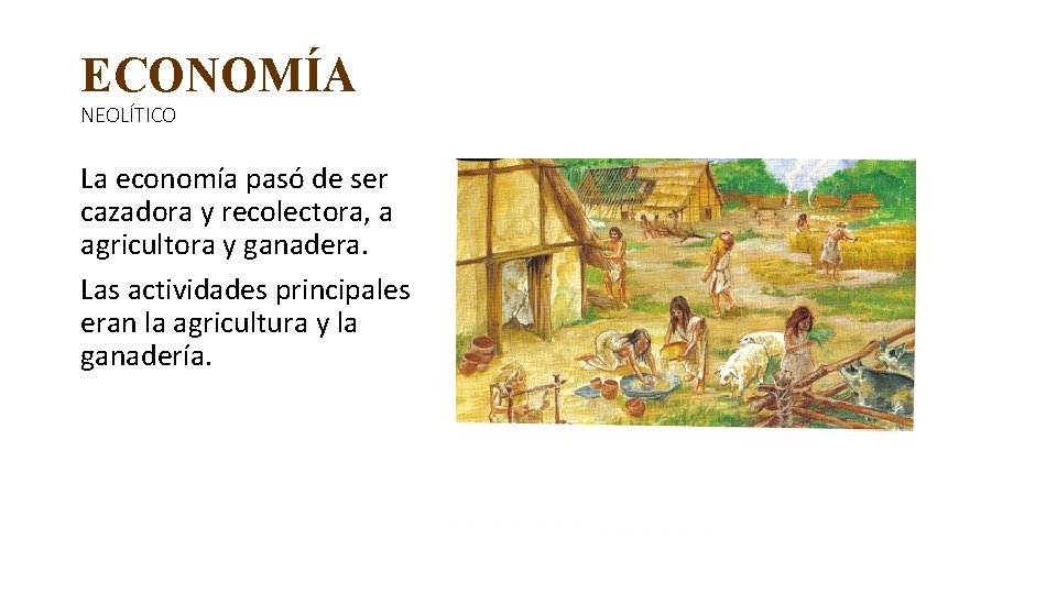 ECONOMÍA NEOLÍTICO La economía pasó de ser cazadora y recolectora, a agricultora y ganadera.