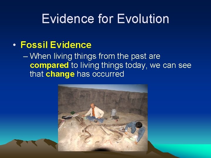 Evidence for Evolution • Fossil Evidence – When living things from the past are