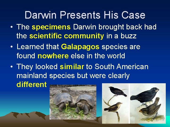 Darwin Presents His Case • The specimens Darwin brought back had the scientific community
