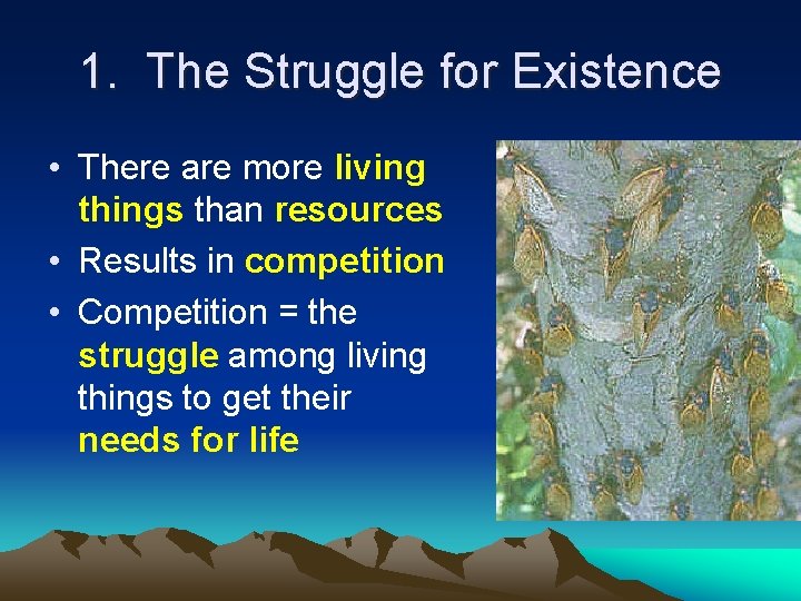 1. The Struggle for Existence • There are more living things than resources •