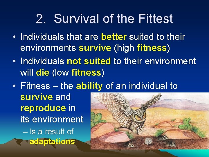 2. Survival of the Fittest • Individuals that are better suited to their environments