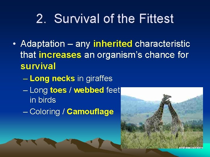 2. Survival of the Fittest • Adaptation – any inherited characteristic that increases an