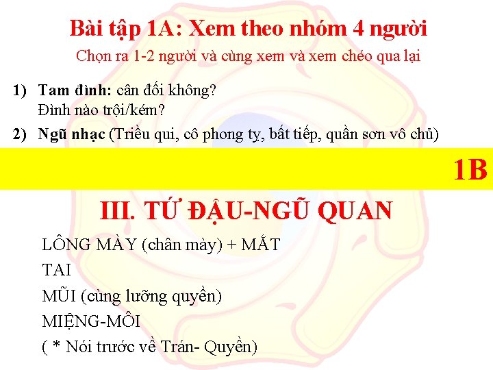 Bài tập 1 A: Xem theo nhóm 4 người Chọn ra 1 -2 người