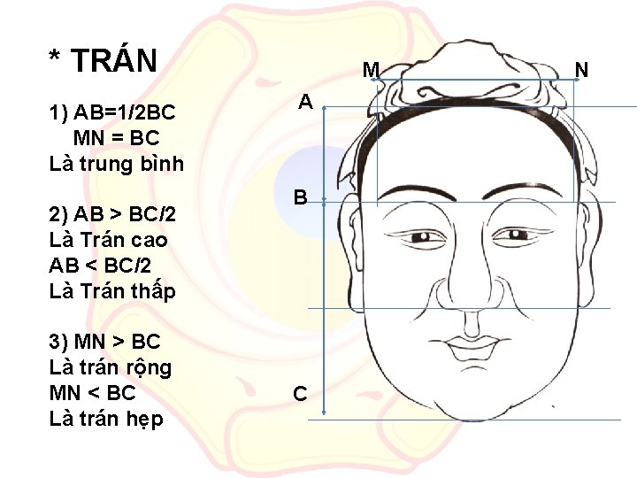 * TRÁN 1) AB=1/2 BC MN = BC Là trung bình 2) AB >