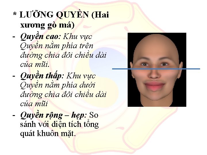 * LƯỠNG QUYỀN (Hai xương gò má) - Quyền cao: Khu vực Quyền nằm