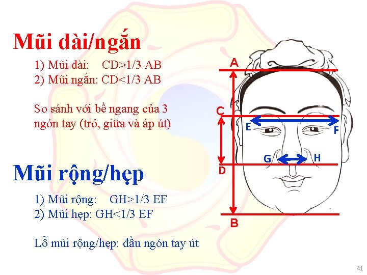 Mũi dài/ngắn A 1) Mũi dài: CD>1/3 AB 2) Mũi ngắn: CD<1/3 AB So