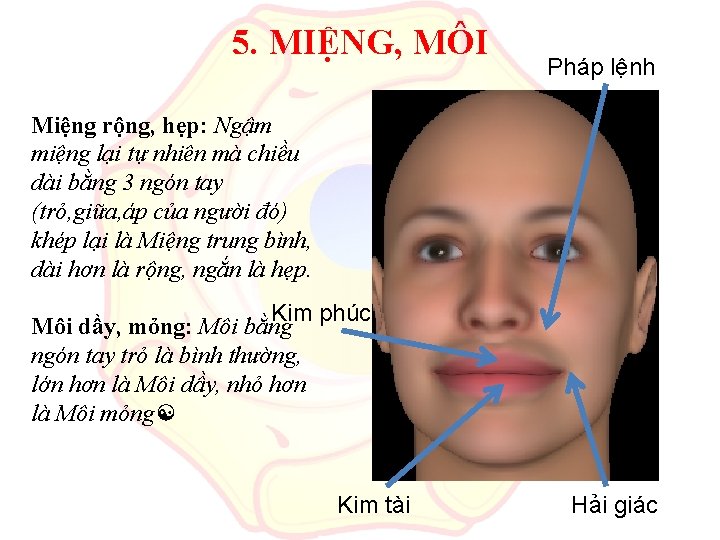 5. MIỆNG, MÔI Pháp lệnh Miệng rộng, hẹp: Ngậm miệng lại tự nhiên mà