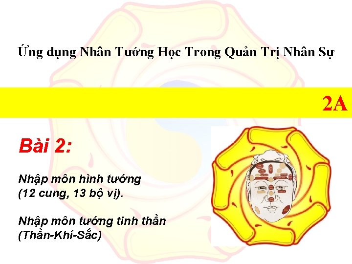 Ứng dụng Nhân Tướng Học Trong Quản Trị Nhân Sự 2 A Bài 2: