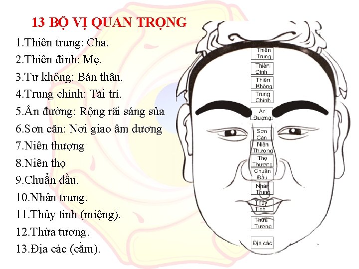 13 BỘ VỊ QUAN TRỌNG 1. Thiên trung: Cha. 2. Thiên đình: Mẹ. 3.