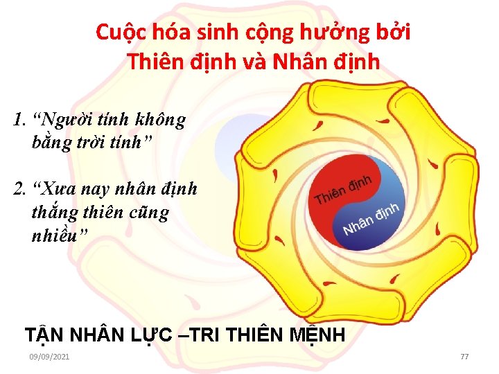 Cuộc hóa sinh cộng hưởng bởi Thiên định và Nhân định 1. “Người tính