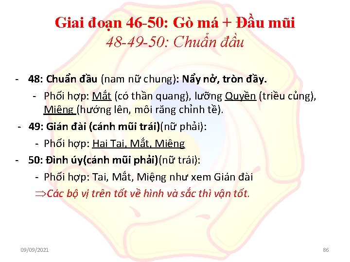 Giai đoạn 46 -50: Gò má + Đầu mũi 48 -49 -50: Chuẩn đầu