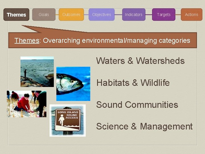 Themes Goals Outcomes Objectives Indicators Targets Actions Themes: Overarching environmental/managing categories Waters & Watersheds