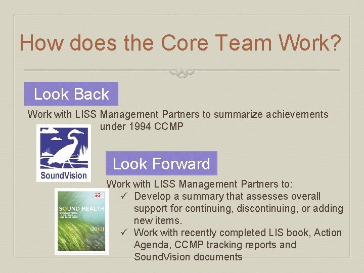 How does the Core Team Work? Look Back Work with LISS Management Partners to