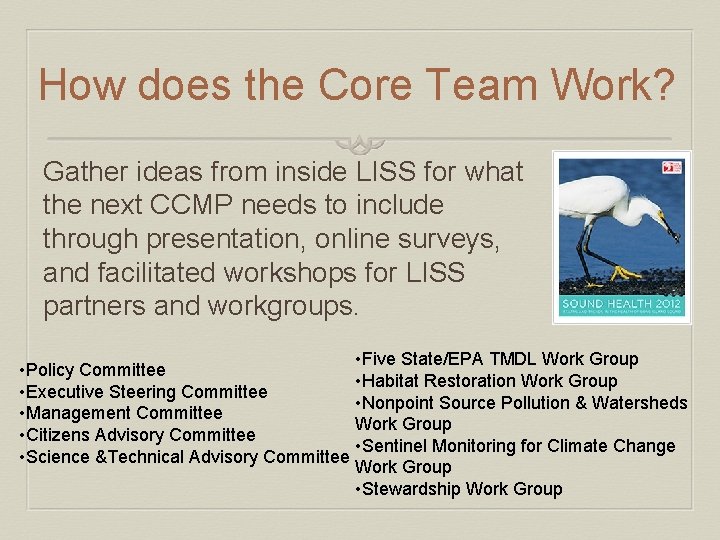 How does the Core Team Work? Gather ideas from inside LISS for what the