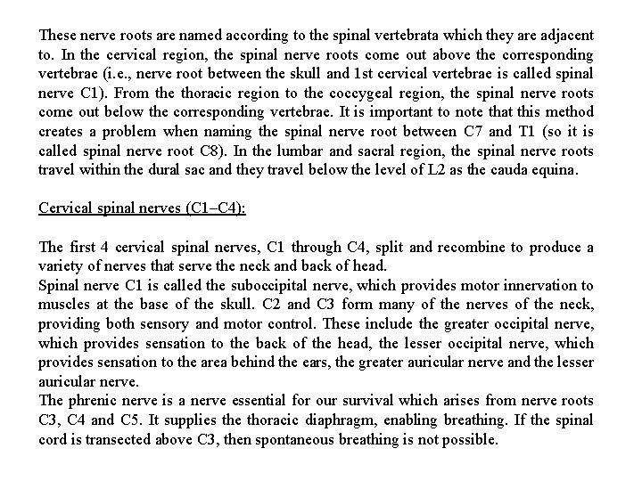 These nerve roots are named according to the spinal vertebrata which they are adjacent
