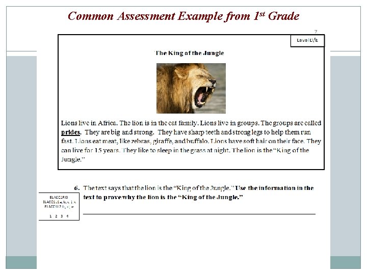 Common Assessment Example from 1 st Grade 