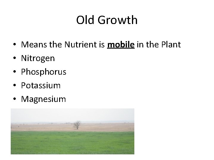 Old Growth • • • Means the Nutrient is mobile in the Plant Nitrogen