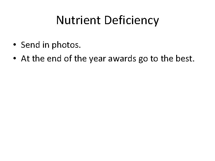 Nutrient Deficiency • Send in photos. • At the end of the year awards