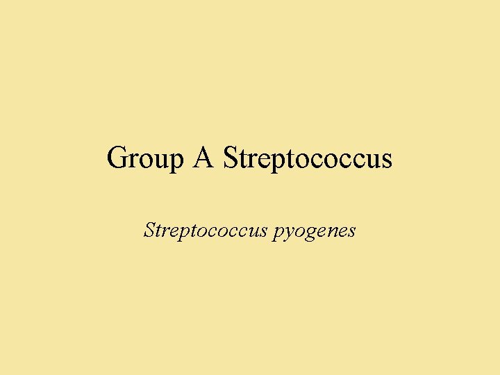 Group A Streptococcus pyogenes 