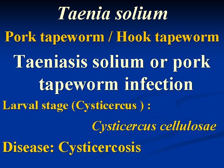 Taenia solium Pork tapeworm / Hook tapeworm Taeniasis solium or pork tapeworm infection Larval