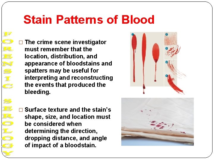 Stain Patterns of Blood � The crime scene investigator must remember that the location,