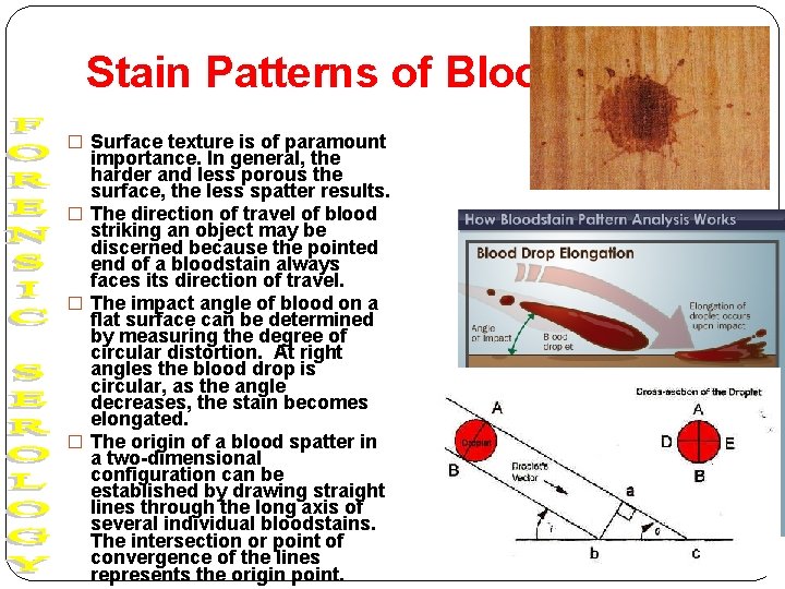 Stain Patterns of Blood � Surface texture is of paramount importance. In general, the