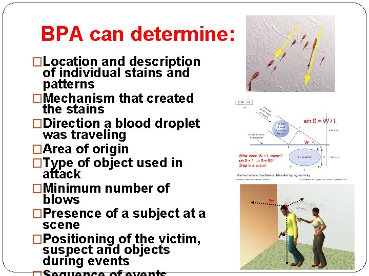 BPA can determine: �Location and description of individual stains and patterns �Mechanism that created