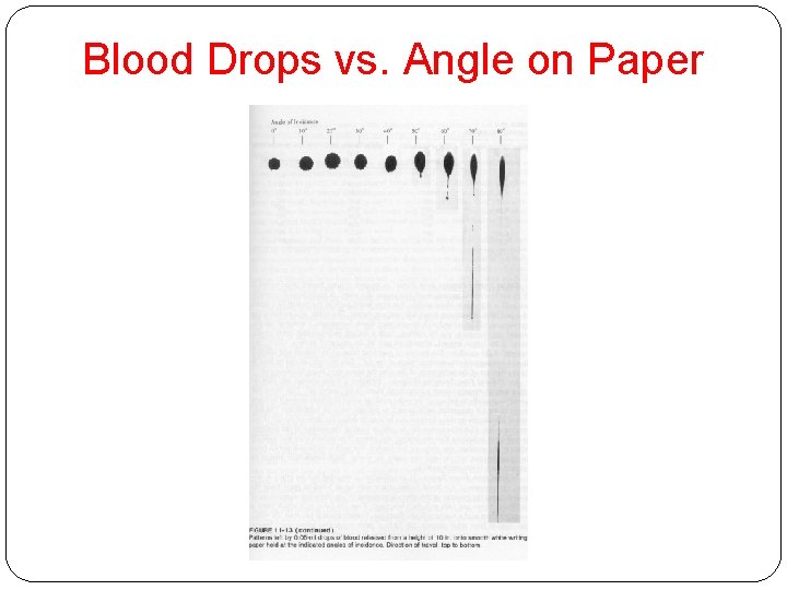 Blood Drops vs. Angle on Paper 