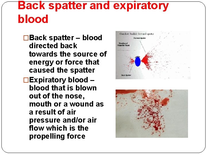 Back spatter and expiratory blood �Back spatter – blood directed back towards the source