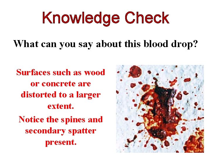 Knowledge Check What can you say about this blood drop? Surfaces such as wood