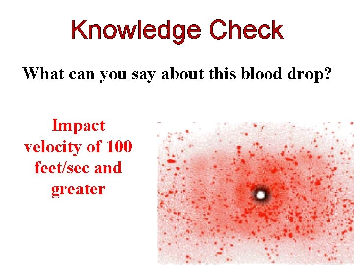 Knowledge Check What can you say about this blood drop? Impact velocity of 100